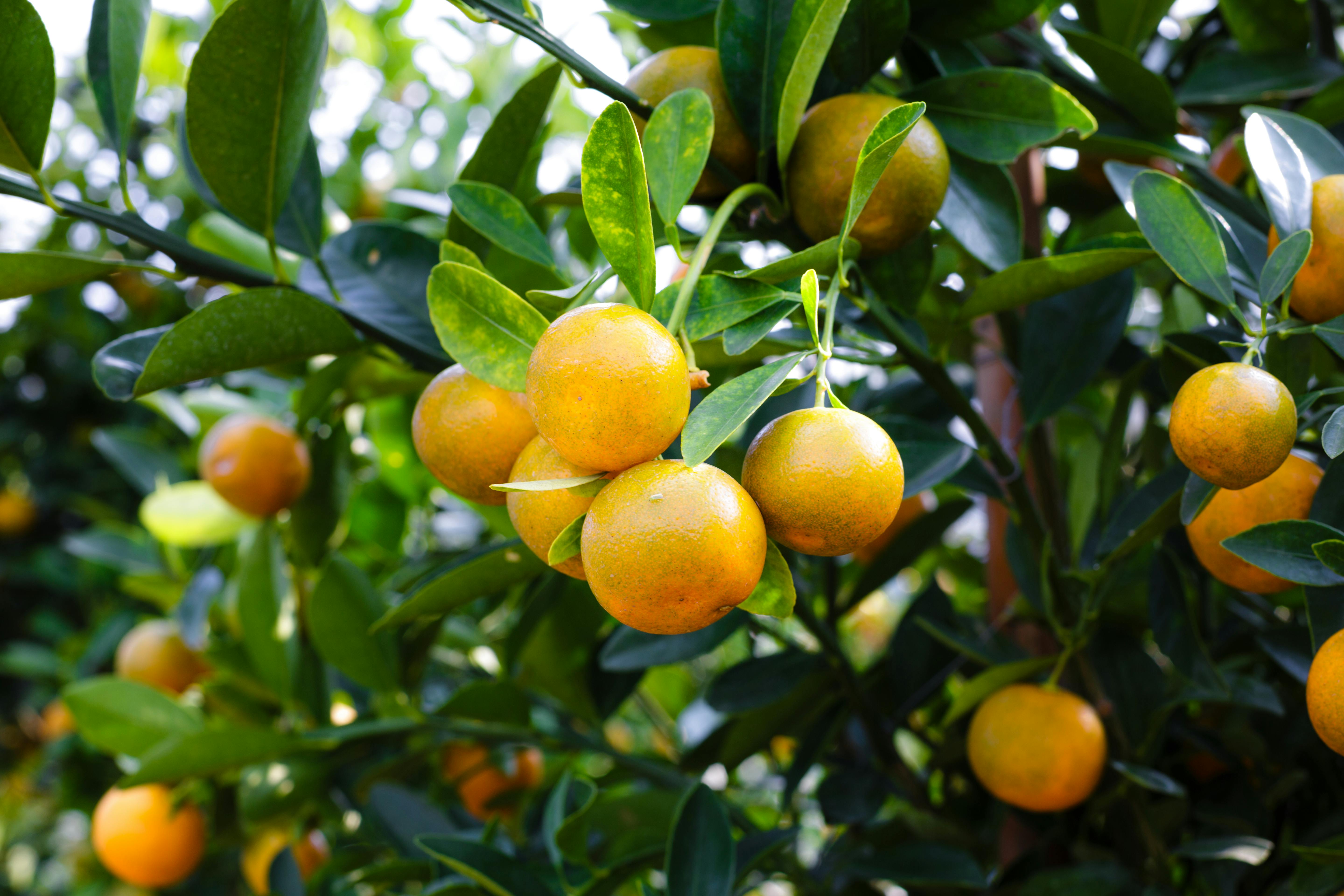 blog1